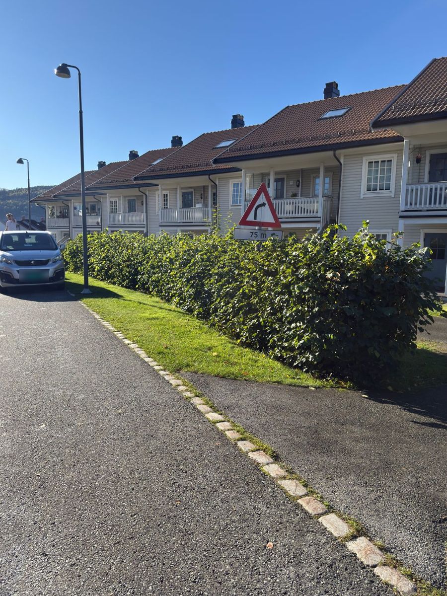 Før: høy og frodig hekk som skjuler trafikkskiltet
