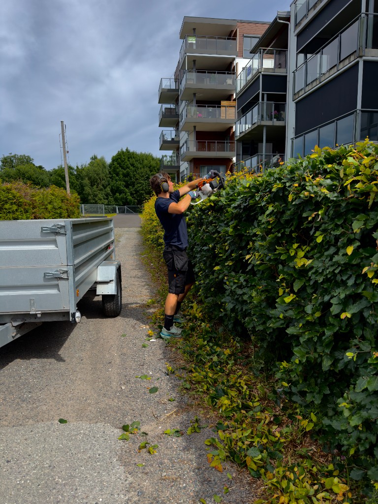 Hekktrimming ved borettslag