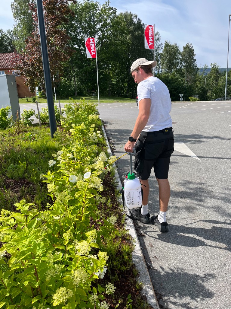Vedlikehold av blomsterbed ved næringsbygg